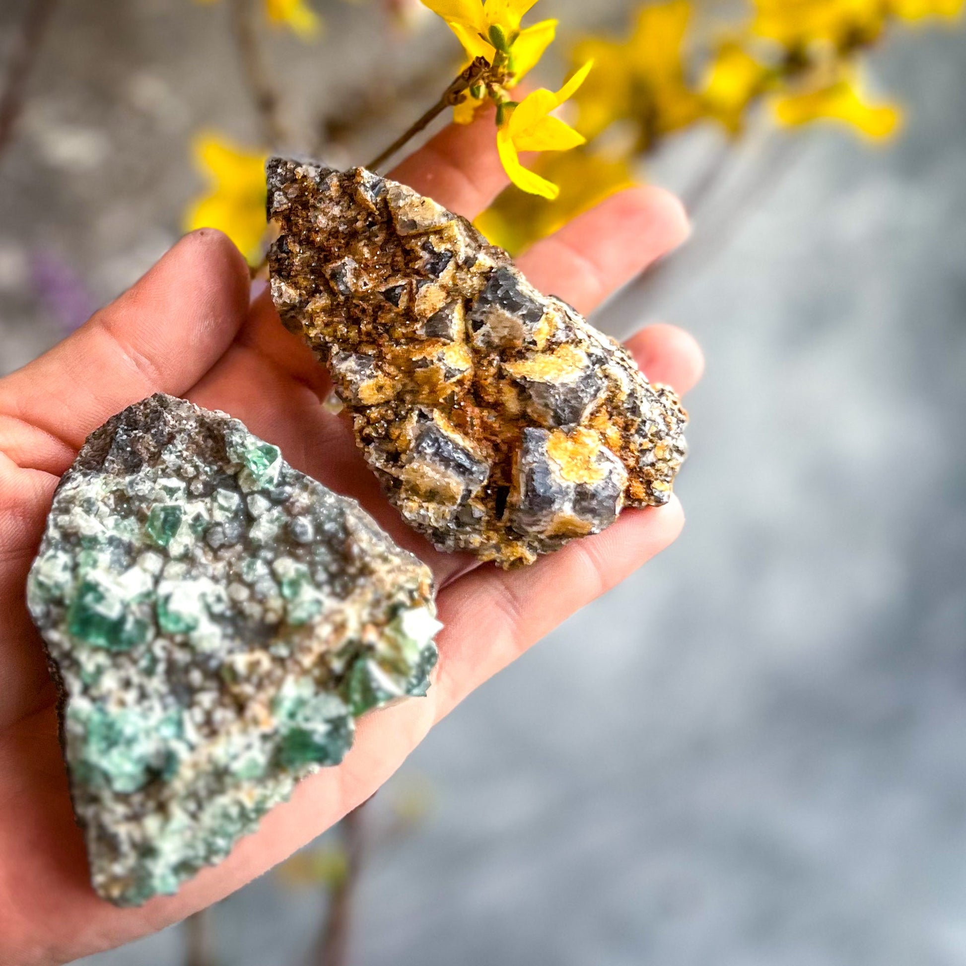Druzy Dreams Pocket Fluorite Clusters (Color Change) Diana Maria Mine, Fluorescent Fluorite –