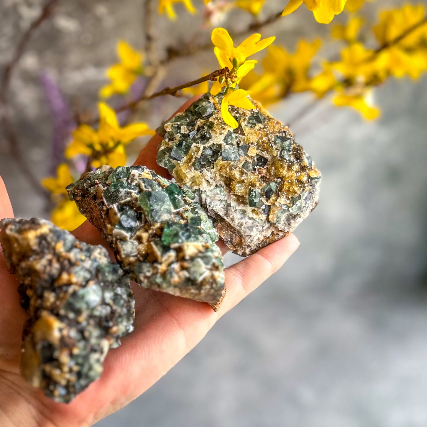Druzy Dreams Pocket Fluorite Clusters (Color Change) Diana Maria Mine, Fluorescent Fluorite –