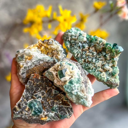 Druzy Dreams Pocket Fluorite Clusters (Color Change) Diana Maria Mine, Fluorescent Fluorite –