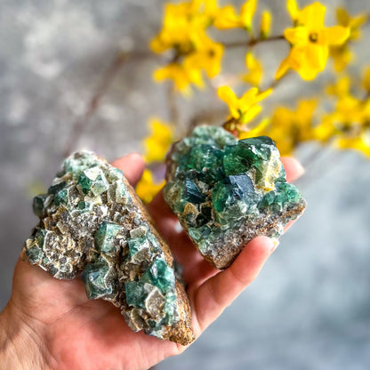 Druzy Dreams Pocket Fluorite Clusters (Color Change) Diana Maria Mine, Fluorescent Fluorite –