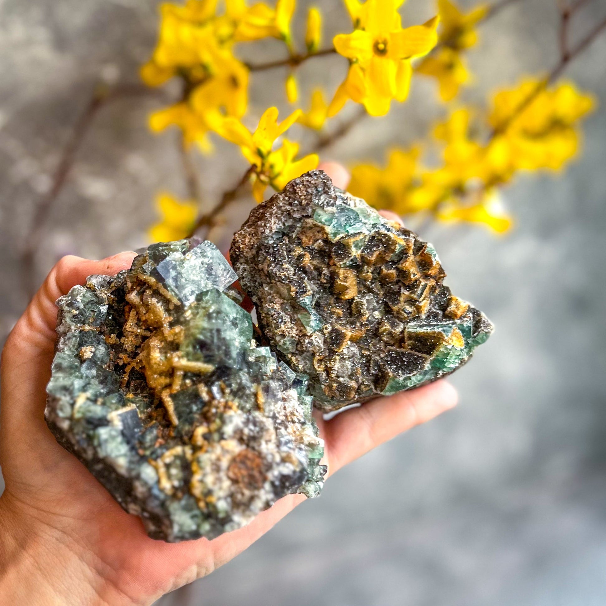 Druzy Dreams Pocket Fluorite Clusters (Color Change) Diana Maria Mine, Fluorescent Fluorite –