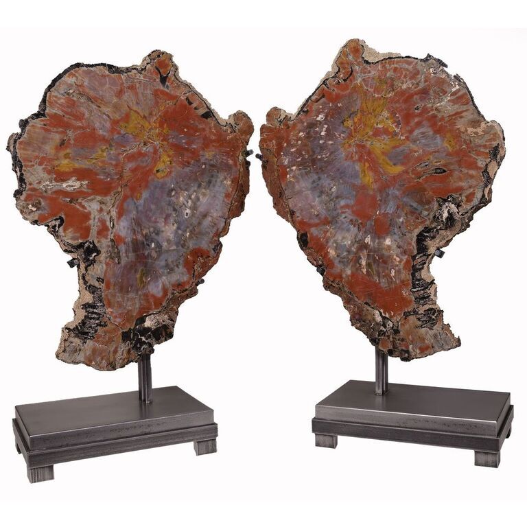 Museum-Grade Arizona Petrified Wood Bookmatched Wing Pair – Collector Fossil Sculpture on Custom Stands