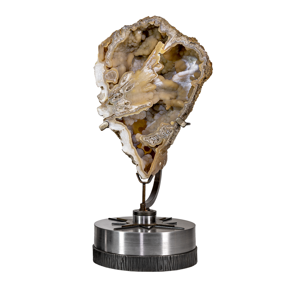 Agatized Fossil Coral on Rotating Starburst Stand - Statement Piece – Fossils & Minerals