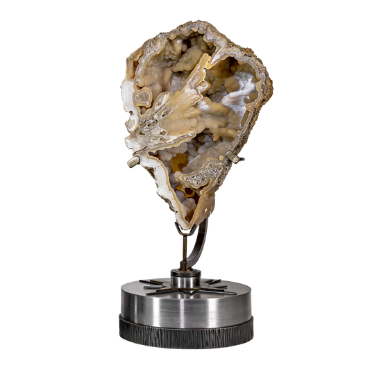 Agatized Fossil Coral on Rotating Starburst Stand - Statement Piece – Fossils & Minerals