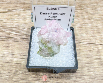 Elbaite Tourmaline – Natural Crystal Specimen in Clear Display Case 2.19g (27×21×11 mm) – Dara‑e‑Pech, Kunar, Afghanistan