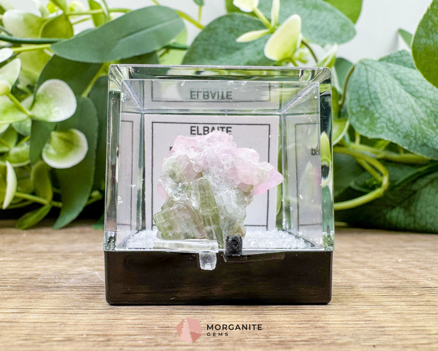 Elbaite Tourmaline – Natural Crystal Specimen in Clear Display Case 2.19g (27×21×11 mm) – Dara‑e‑Pech, Kunar, Afghanistan