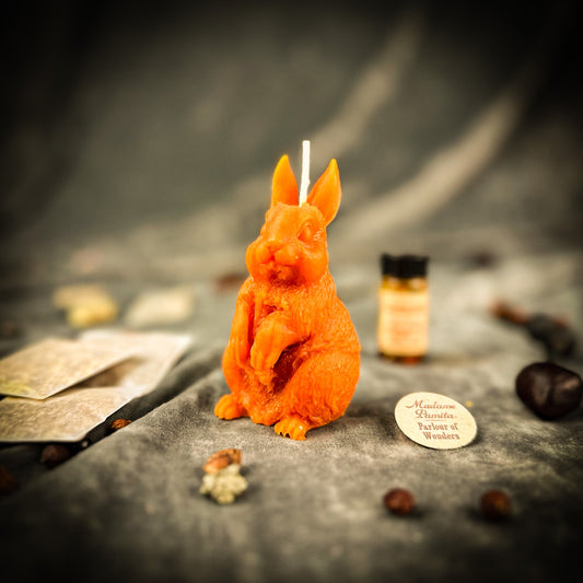 Enchanted Bunny Candle Spell Kit - Abundance & Quick Thinking Magic – Candle Spell Kit