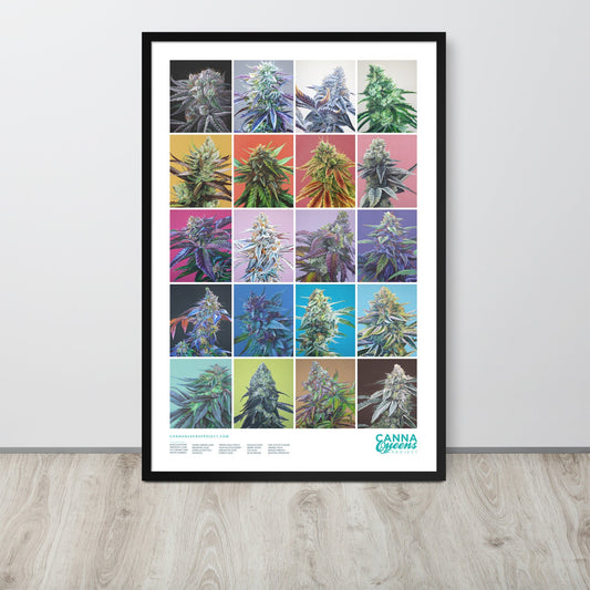 Framed Cannabis Strains Poster 24x36 - 20 Strains Art – Black Posters, Prints, & Visual Artwork