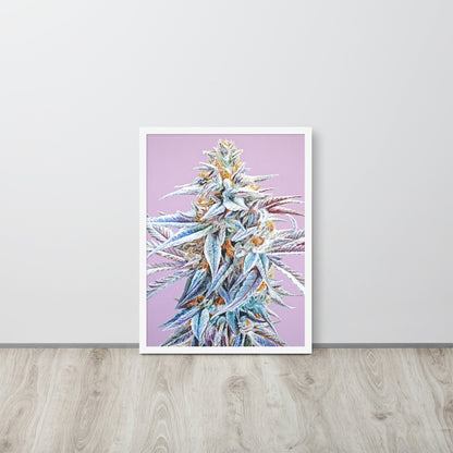 Trufflelatto Berry Framed Poster 18x24 – White Posters, Prints, & Visual Artwork