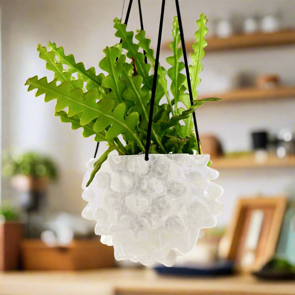 hanging plant pots with drainage Wholesale Partner: Rosebud HomeGoods - The Creature Orb Hanging Planter Pot With Drainage