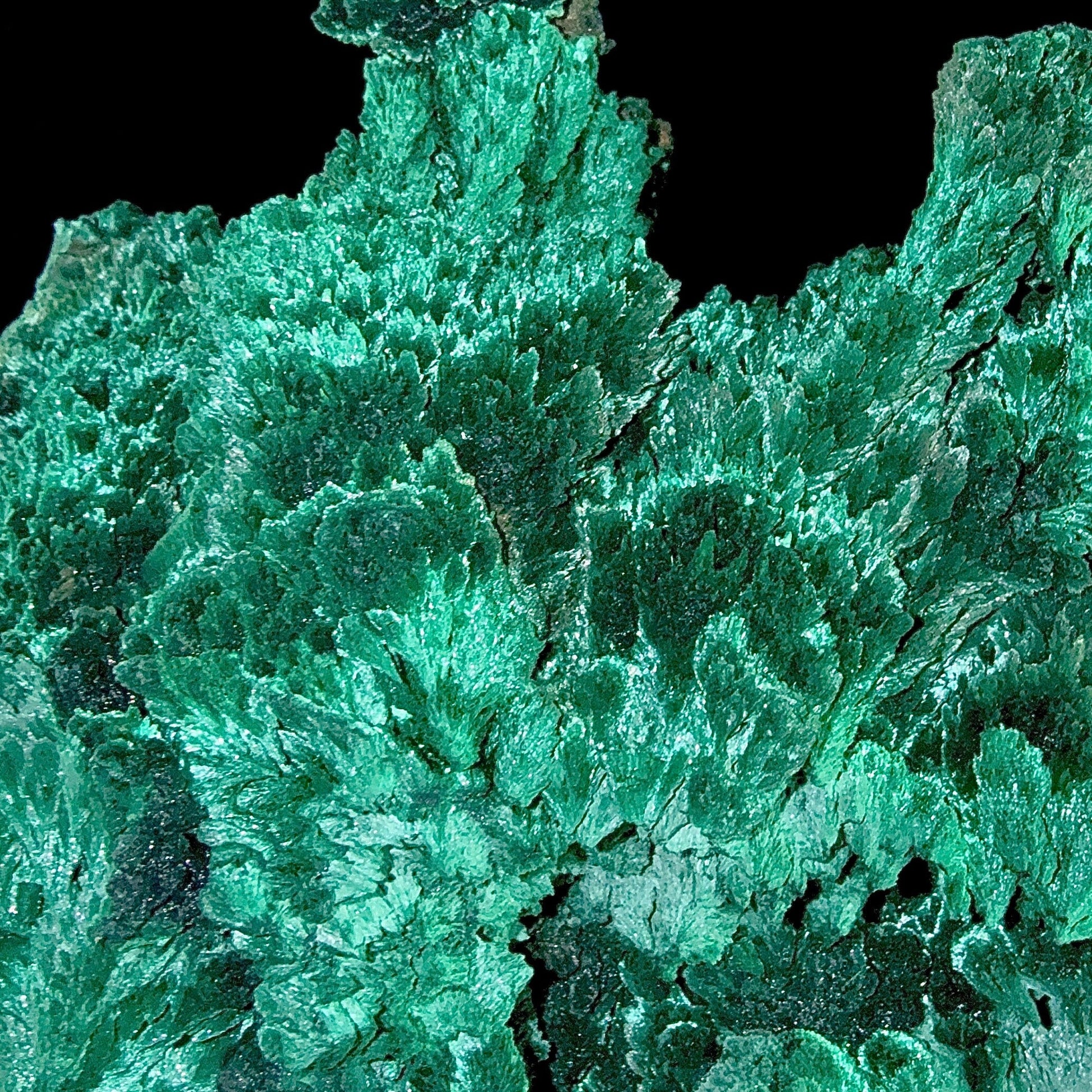 Fibrous Malachite | SELF STANDING | High Quality Mineral | Superb Minerals | Fine Minerals – Malachite