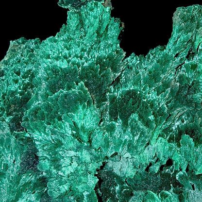 Fibrous Malachite | SELF STANDING | High Quality Mineral | Superb Minerals | Fine Minerals – Malachite