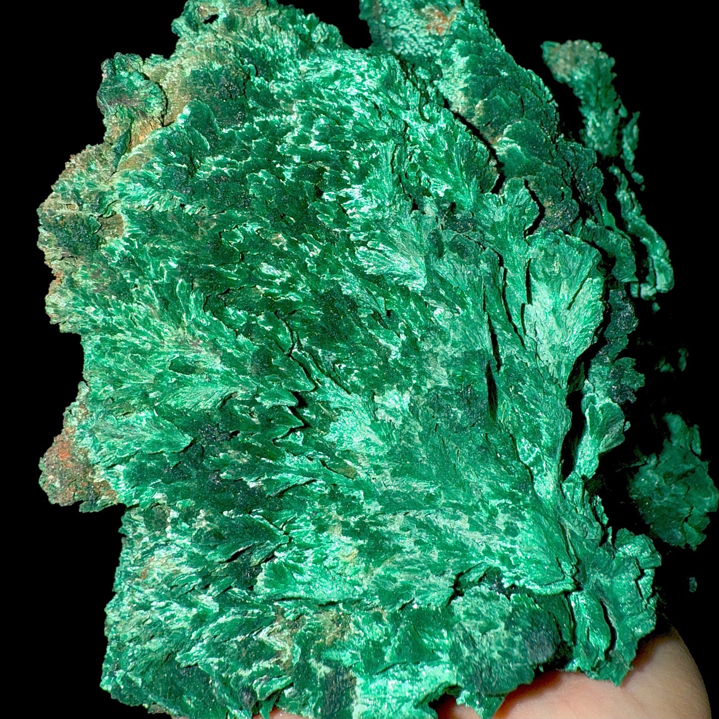 Fibrous Malachite | SELF STANDING | High Quality Mineral | Superb Minerals | Fine Minerals – Malachite