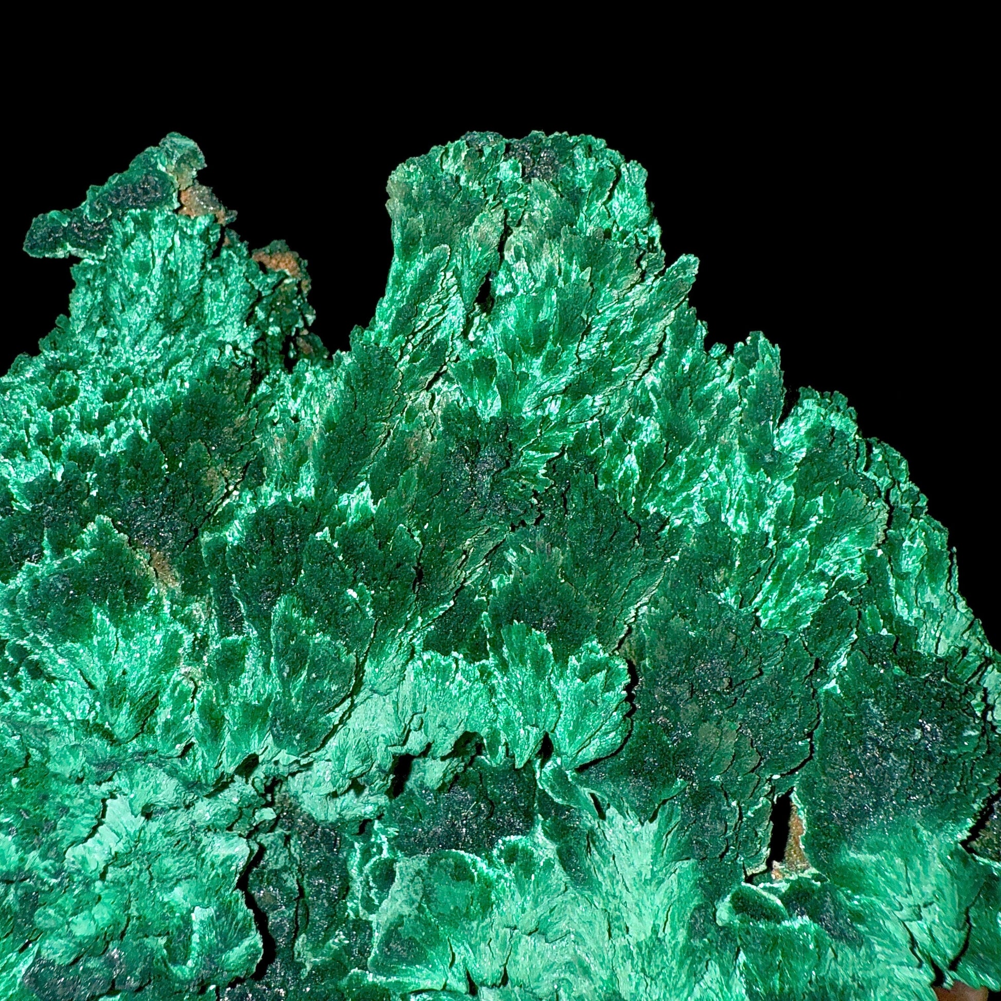 Fibrous Malachite | SELF STANDING | High Quality Mineral | Superb Minerals | Fine Minerals – Malachite