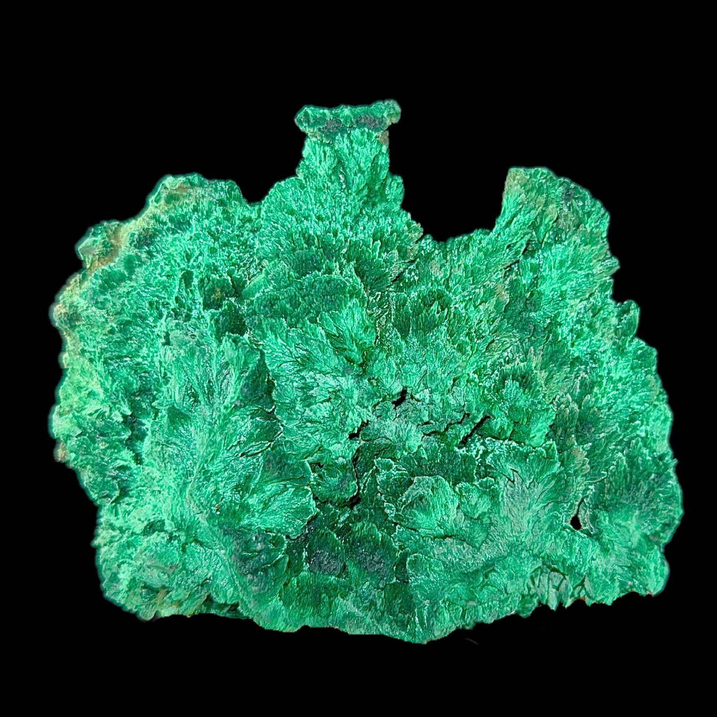Fibrous Malachite | SELF STANDING | High Quality Mineral | Superb Minerals | Fine Minerals – Malachite