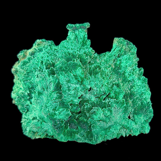 Fibrous Malachite | SELF STANDING | High Quality Mineral | Superb Minerals | Fine Minerals – Malachite