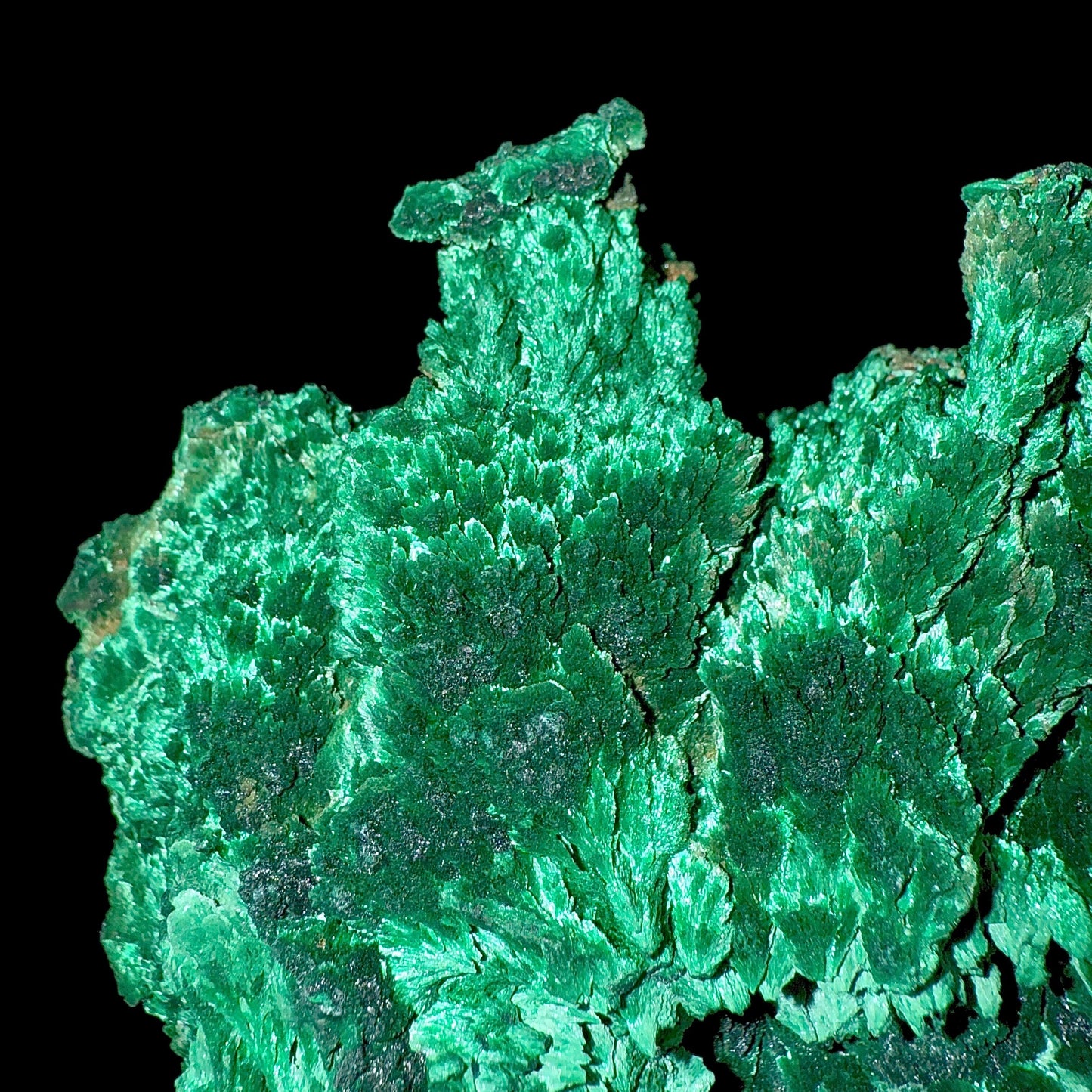 Fibrous Malachite | SELF STANDING | High Quality Mineral | Superb Minerals | Fine Minerals – Malachite