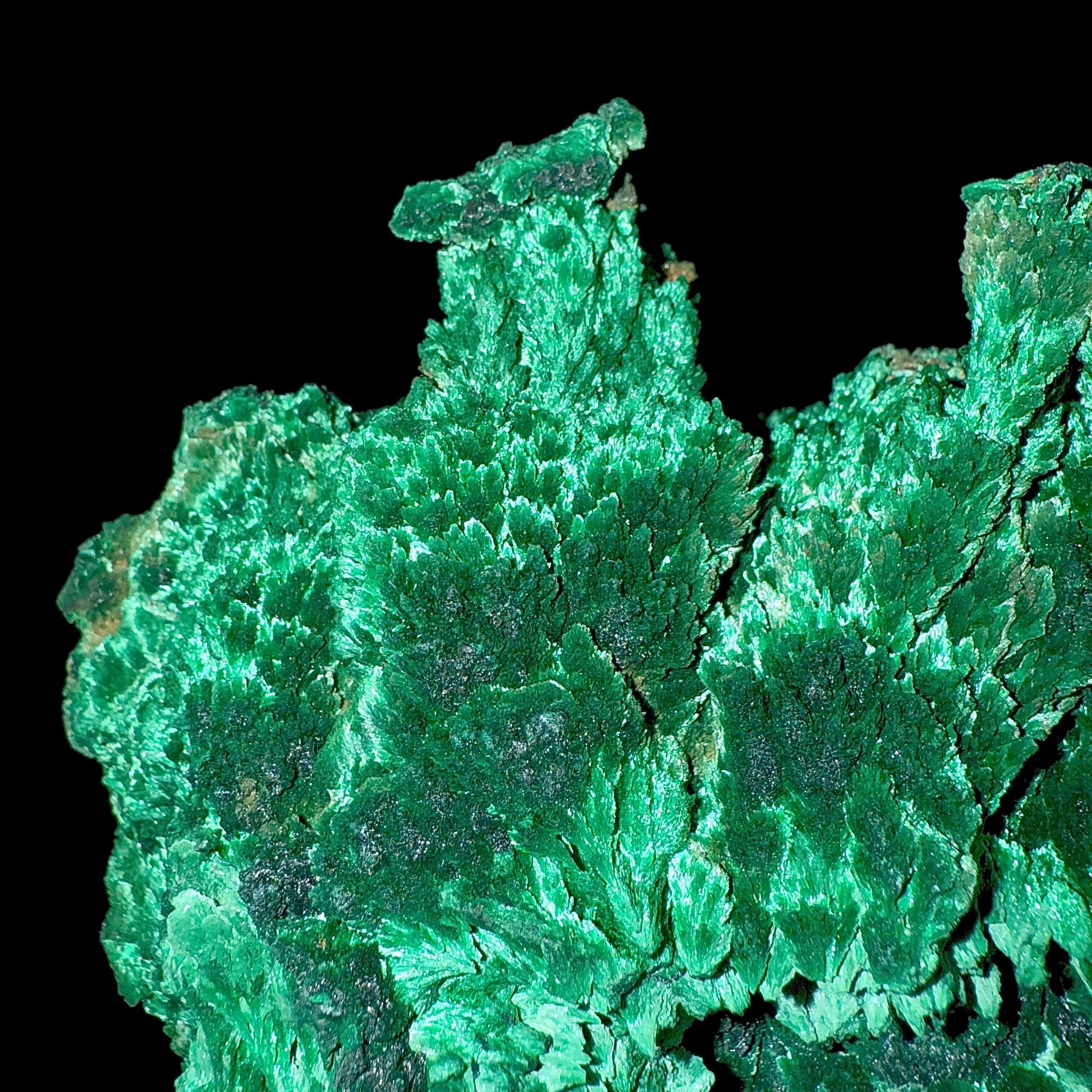 Fibrous Malachite | SELF STANDING | High Quality Mineral | Superb Minerals | Fine Minerals – Malachite