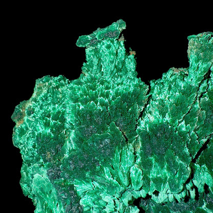 Fibrous Malachite | SELF STANDING | High Quality Mineral | Superb Minerals | Fine Minerals – Malachite