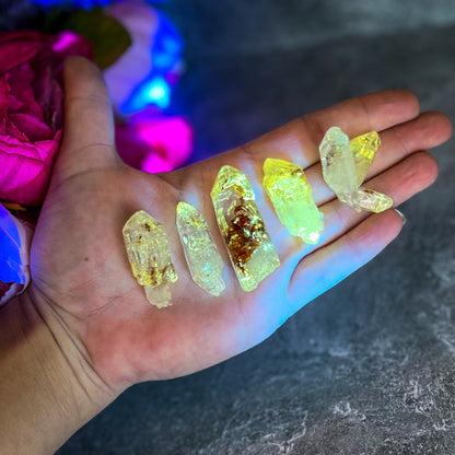 Firefly Petroleum Quartz – Rare Fluorescent Crystal Specimens from Madagascar – 5-9 Grams