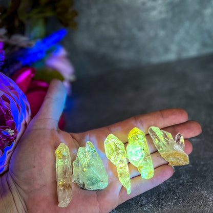 Firefly Petroleum Quartz – Rare Fluorescent Crystal Specimens from Madagascar – 10-19 Grams