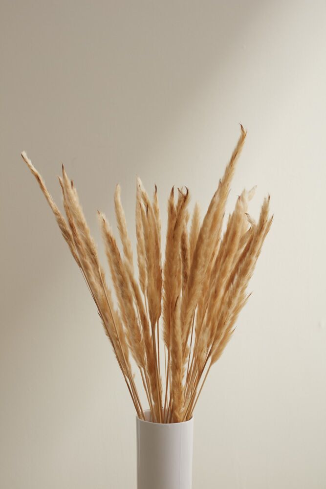 Fluffy Dried Pampas Grass – 6 Stems, 25.5” Tall Boho Home Décor
