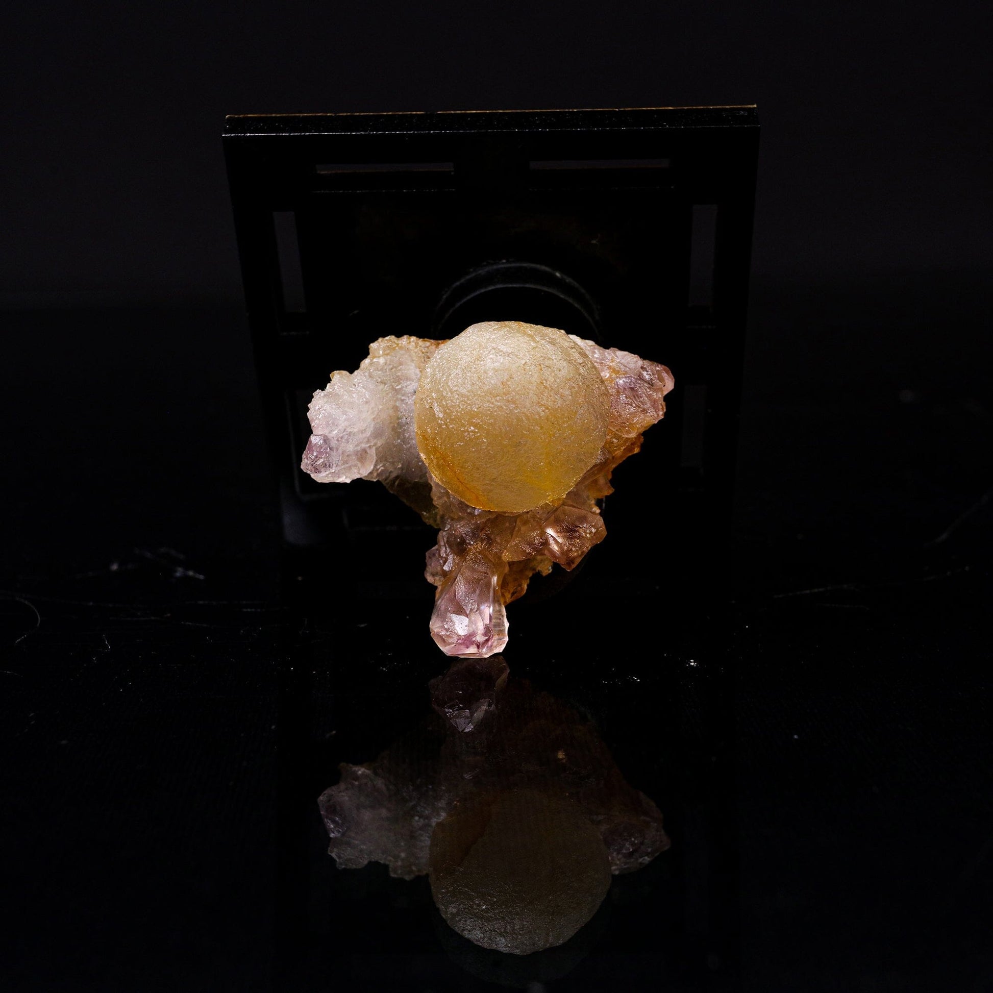 Fluorite Botryoidalon on Amethyst Natural Mineral Specimen # B 6719 – Fluorite