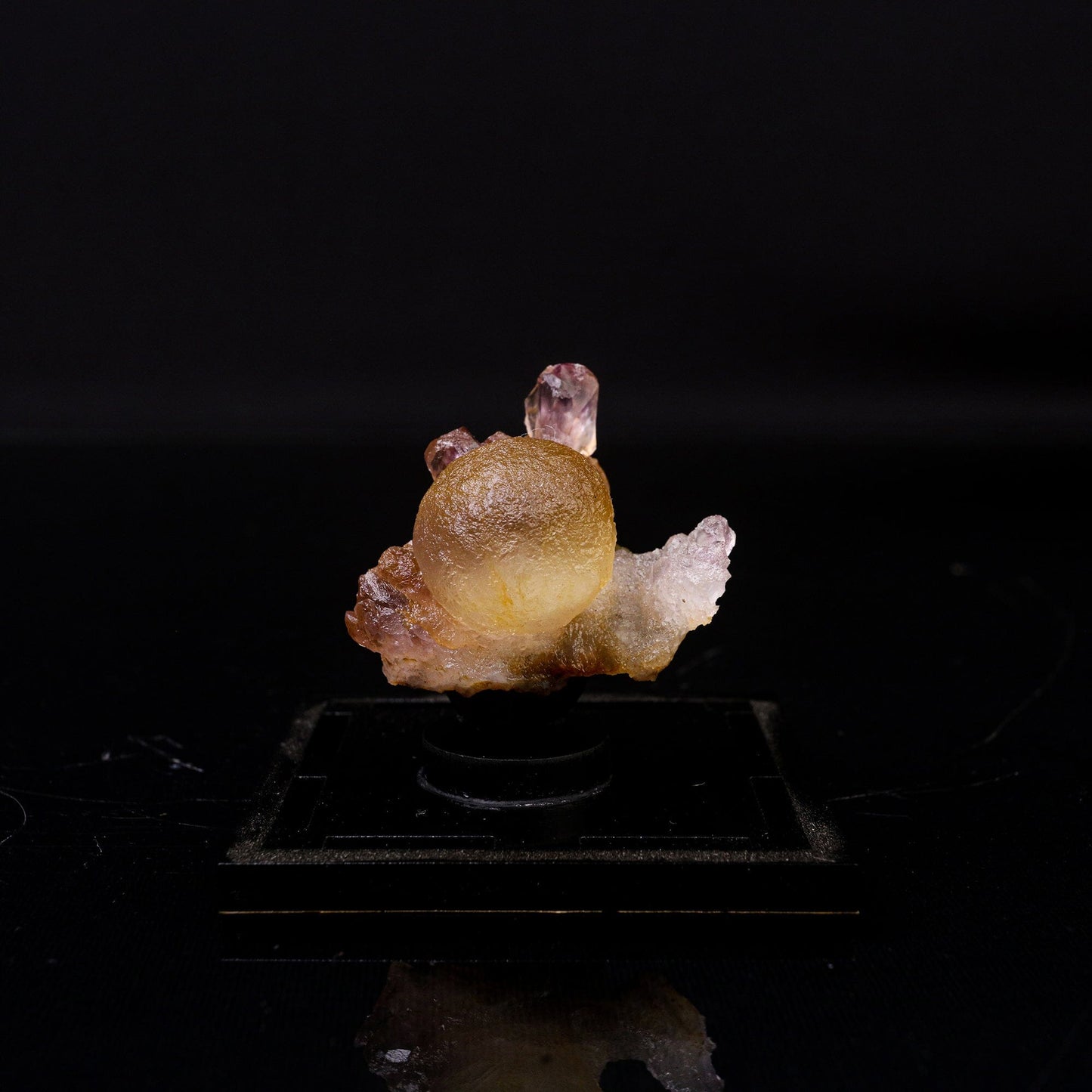 Fluorite Botryoidalon on Amethyst Natural Mineral Specimen # B 6719 – Fluorite