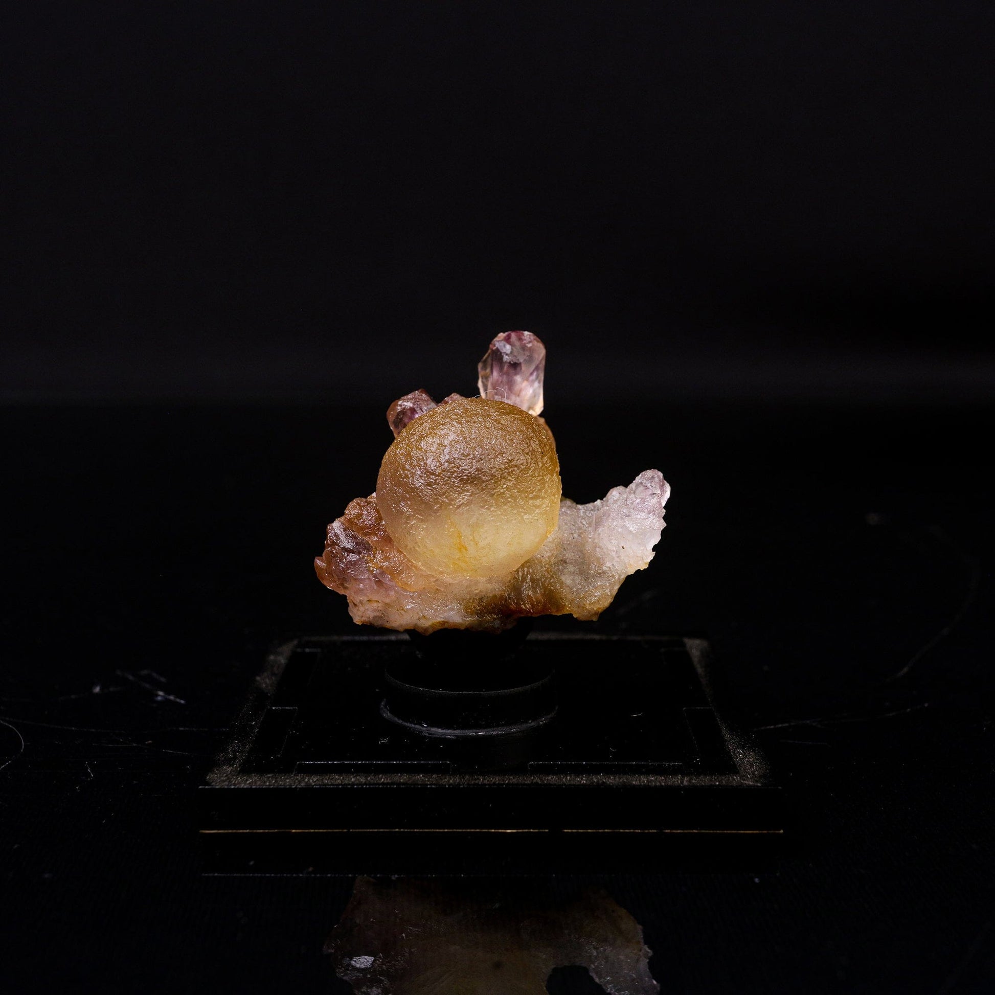 Fluorite Botryoidalon on Amethyst Natural Mineral Specimen # B 6719 – Fluorite