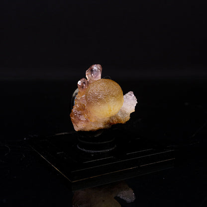 Fluorite Botryoidalon on Amethyst Natural Mineral Specimen # B 6719 – Fluorite