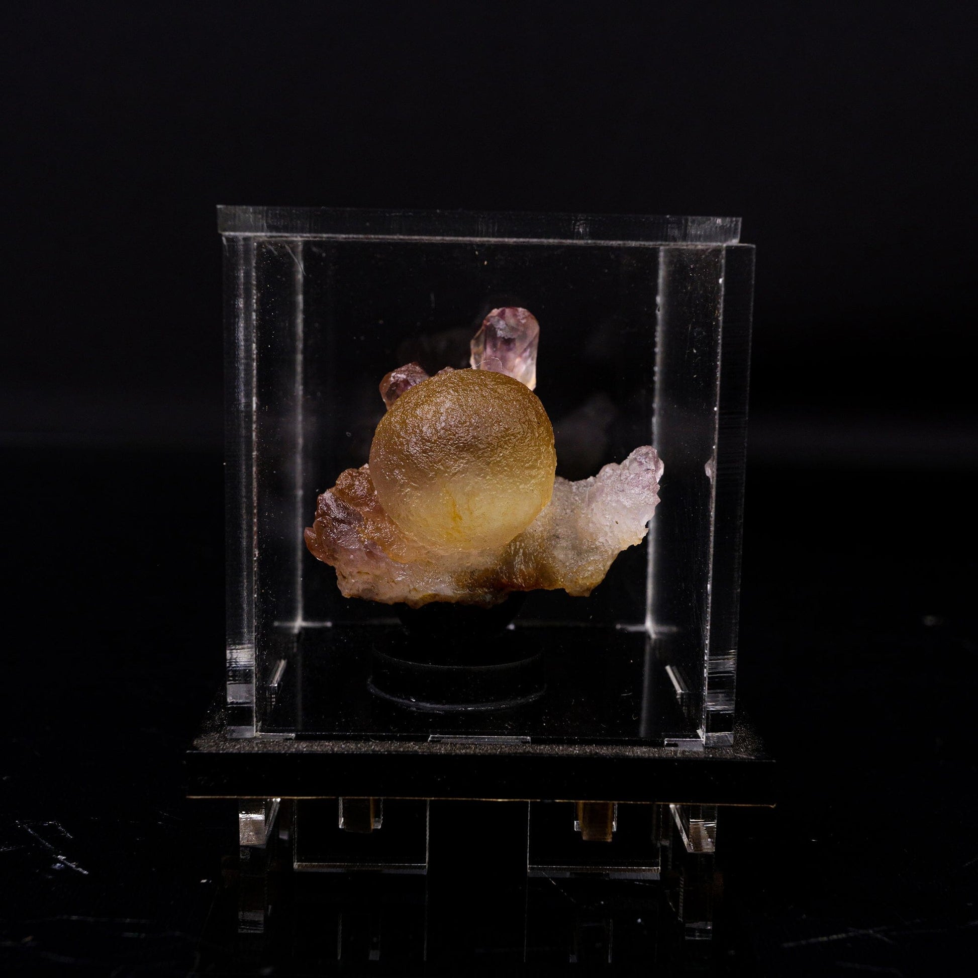 Fluorite Botryoidalon on Amethyst Natural Mineral Specimen # B 6719 – Fluorite