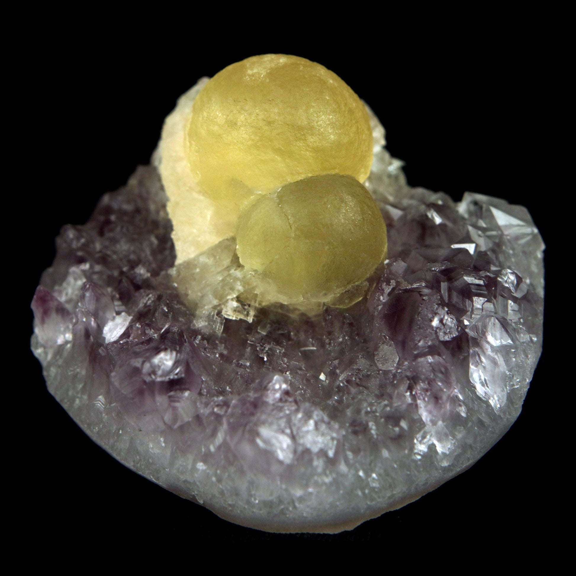Fluorite Botryoidal on Amethyst Natural Mineral Specimen # B 4888 – Fluorite