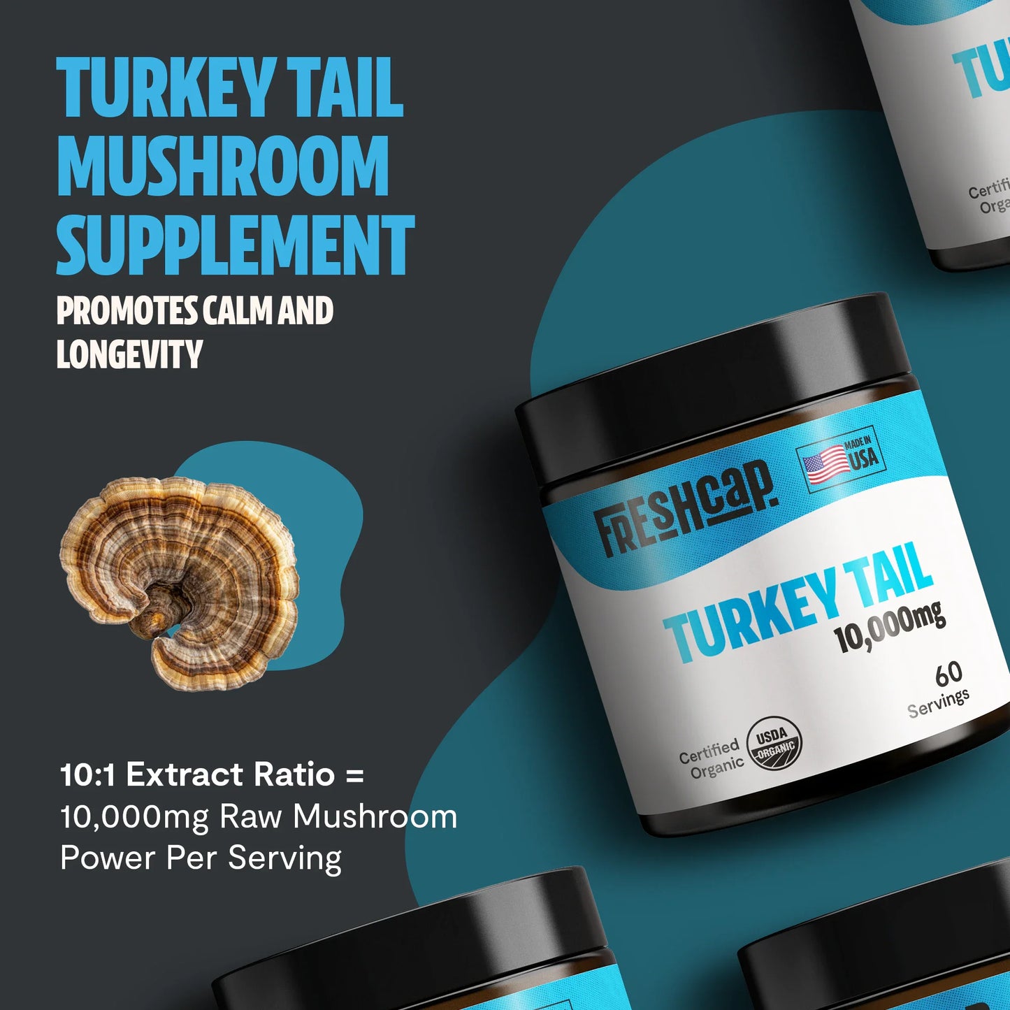 Turkey Tail Mushroom Extract Powder – 10,000mg Immune & Digestive Support