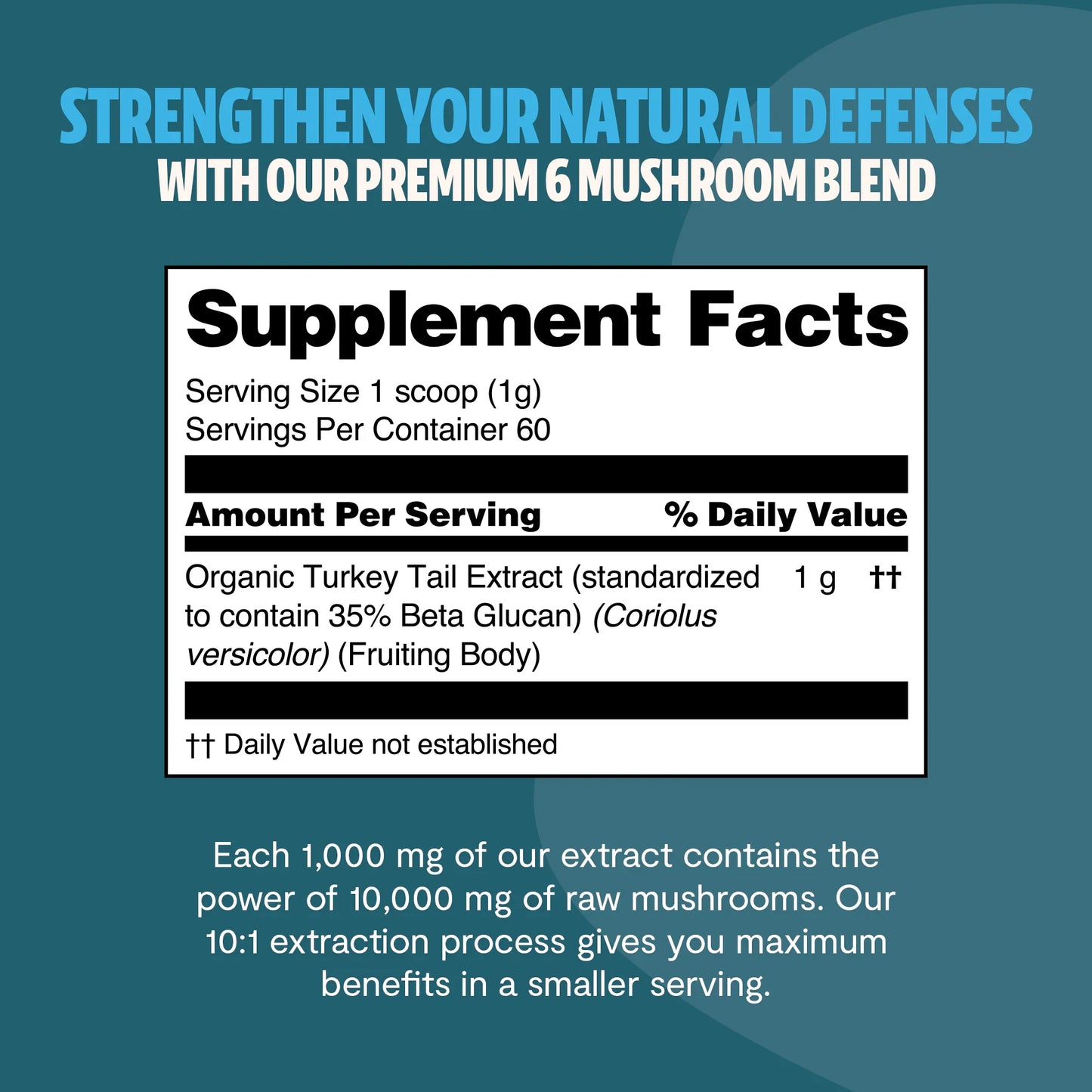 Turkey Tail Mushroom Extract Powder – 10,000mg Immune & Digestive Support