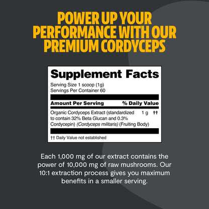 Cordyceps Mushroom Extract Powder – 10,000mg for Energy & Performance