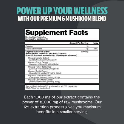 Ultimate Mushroom Complex Capsules – Capsules