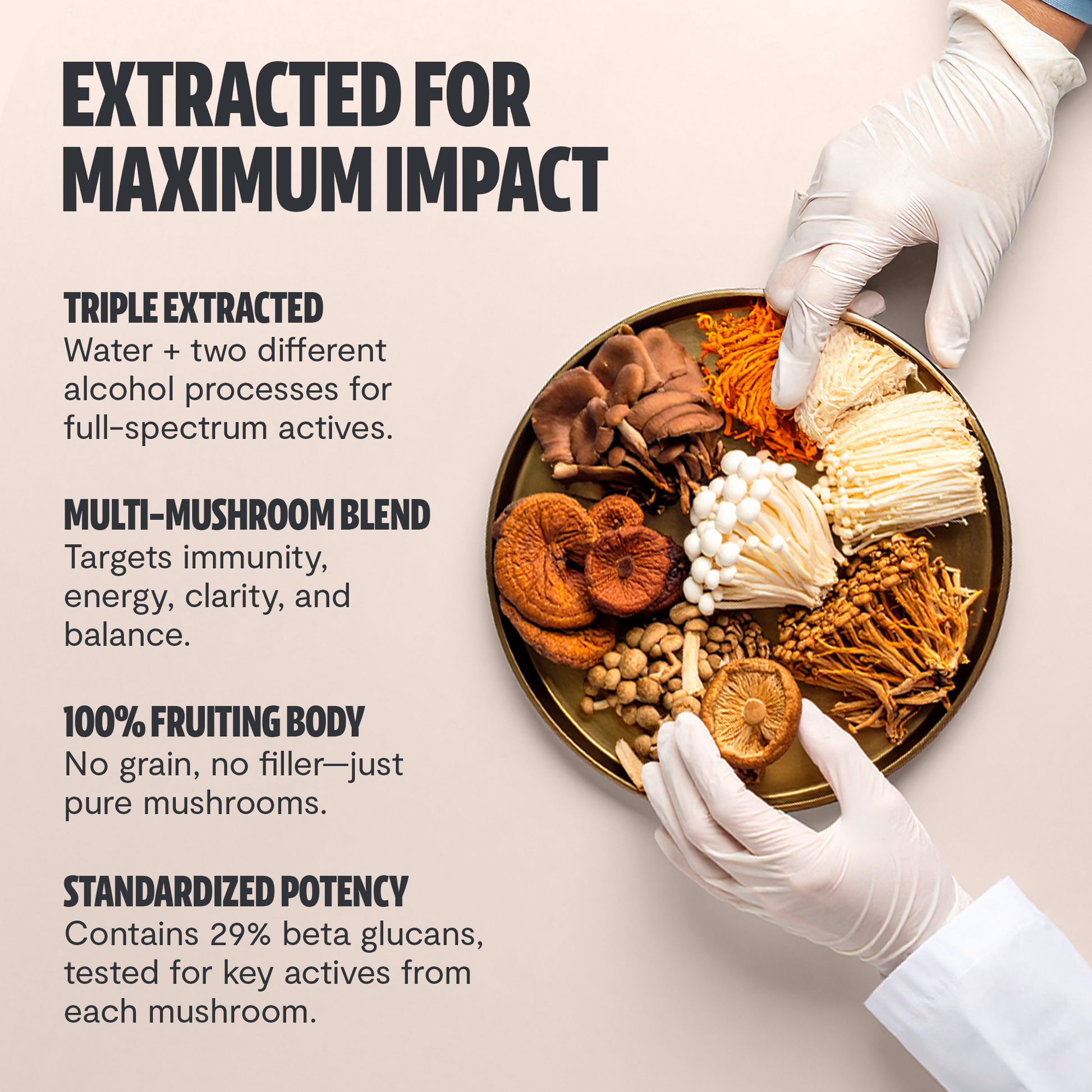 Ultimate Mushroom Complex Capsules – Capsules