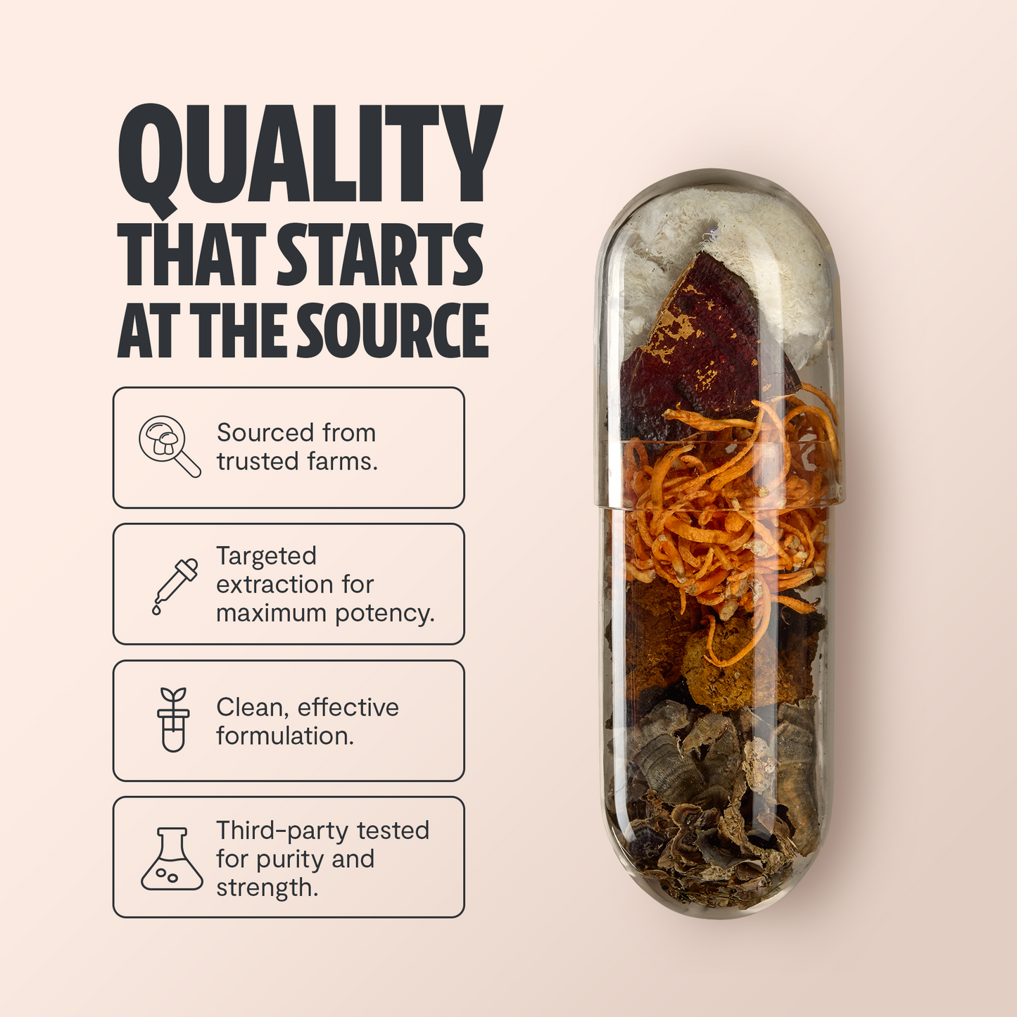Ultimate Mushroom Complex Capsules – Capsules