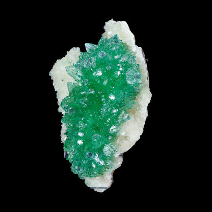 Green Apophyllite sharp terminated Natural Mineral Specimen USA – Apohyllite