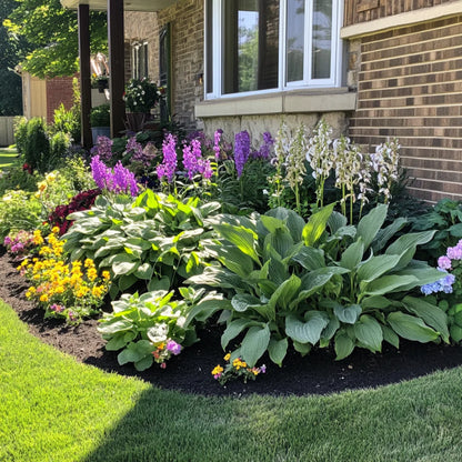 Premium Green Hosta Seeds – Lush Shade Garden Foliage Plant