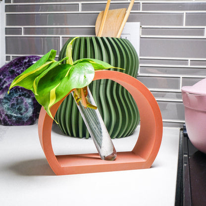 Half-Moon Plant Propagation Station with Glass Tube