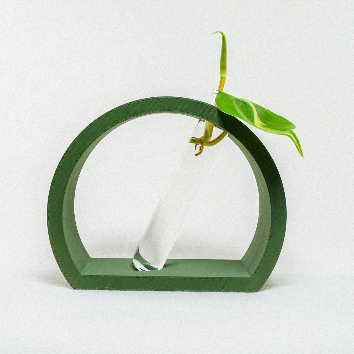 Half-Moon Plant Propagation Station with Glass Tube