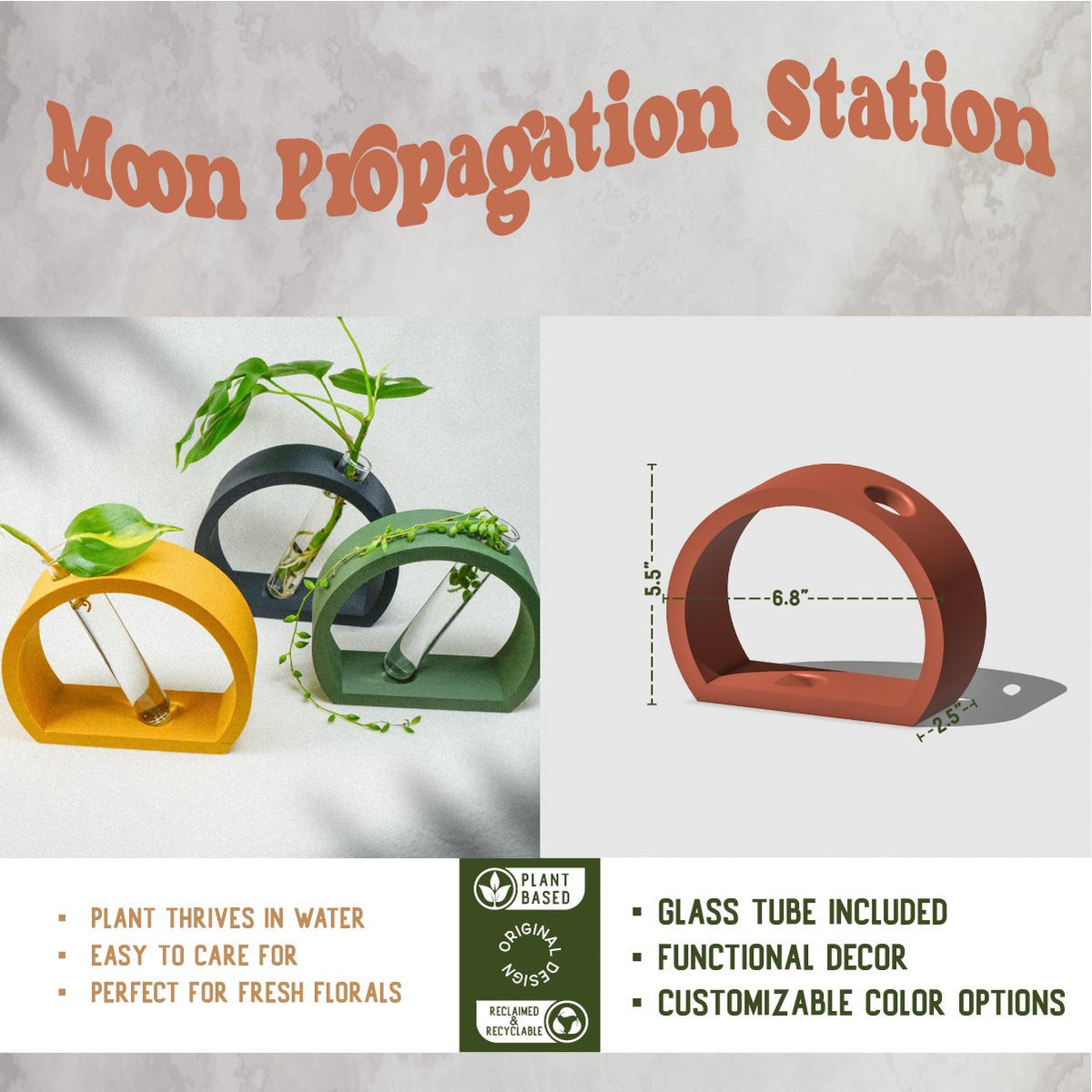 Half-Moon Plant Propagation Station with Glass Tube