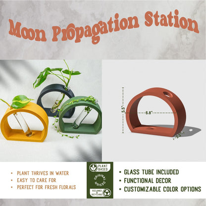 Half-Moon Plant Propagation Station with Glass Tube