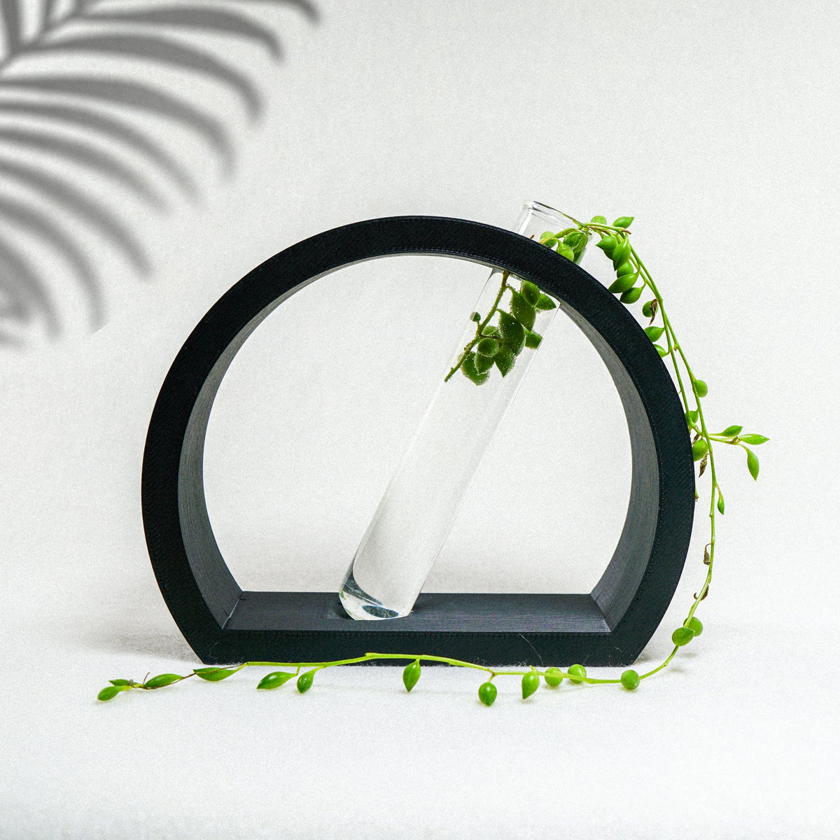 Half-Moon Plant Propagation Station with Glass Tube