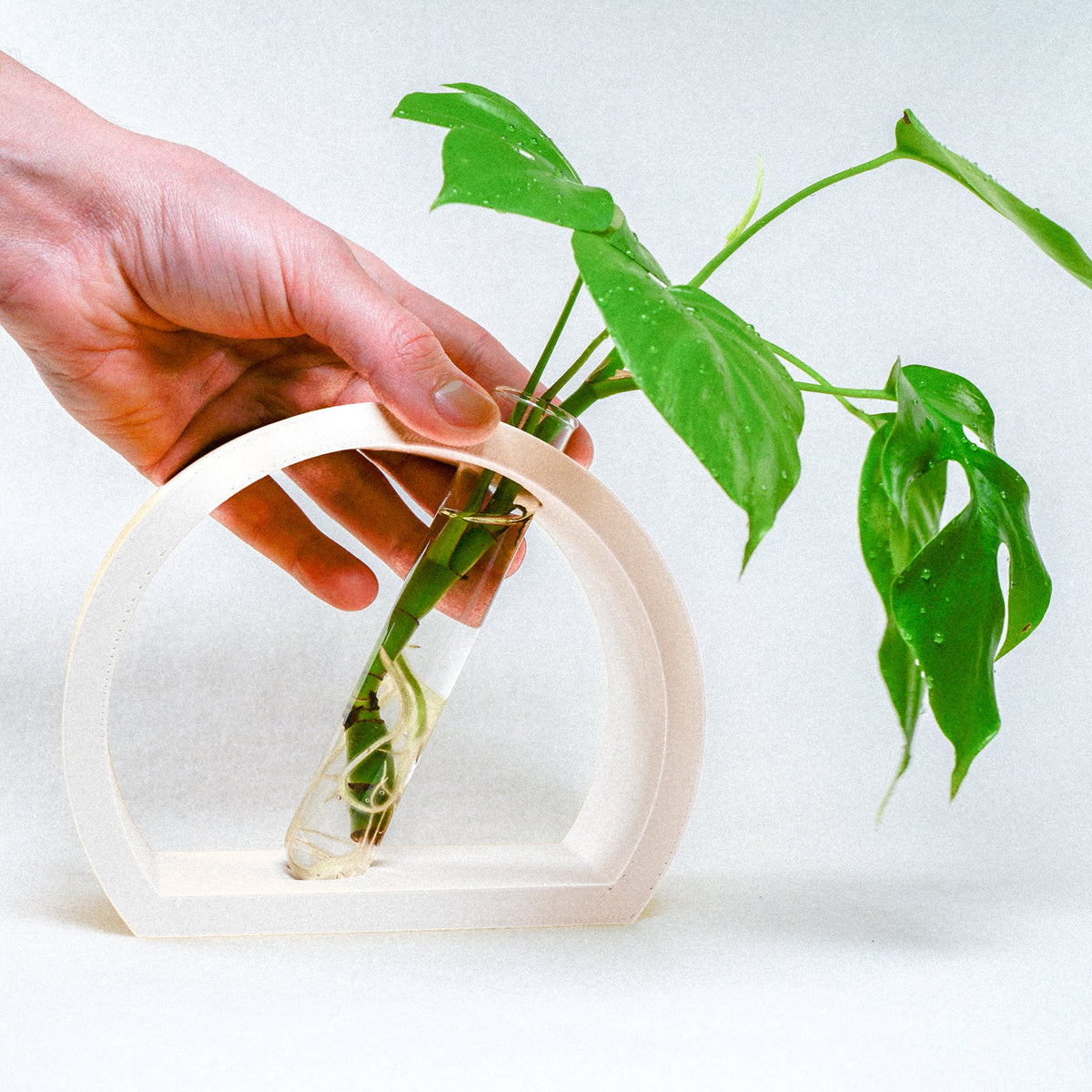 Half-Moon Plant Propagation Station with Glass Tube