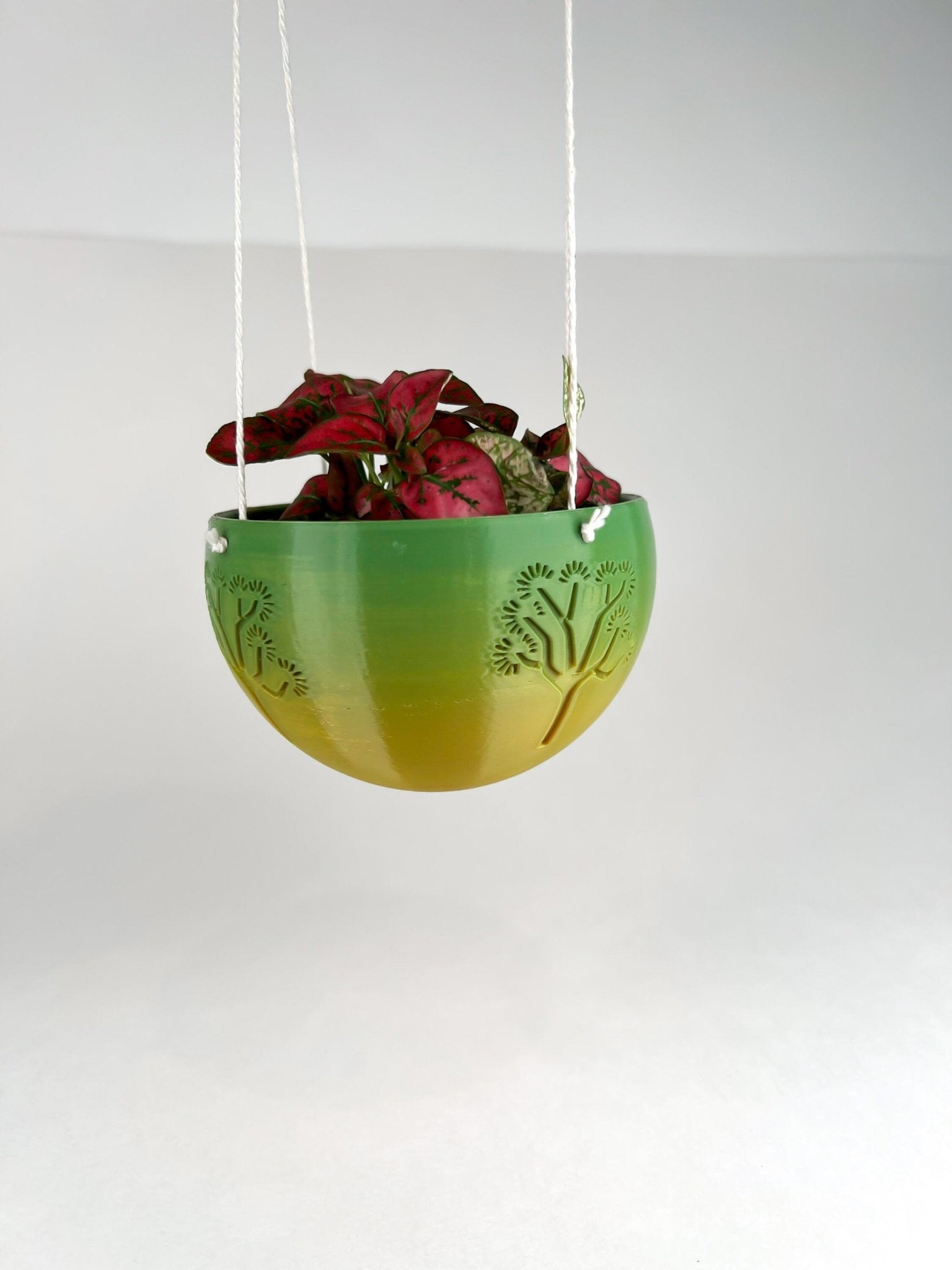 Hanging Joshua Tree Planter – Pots & Planters