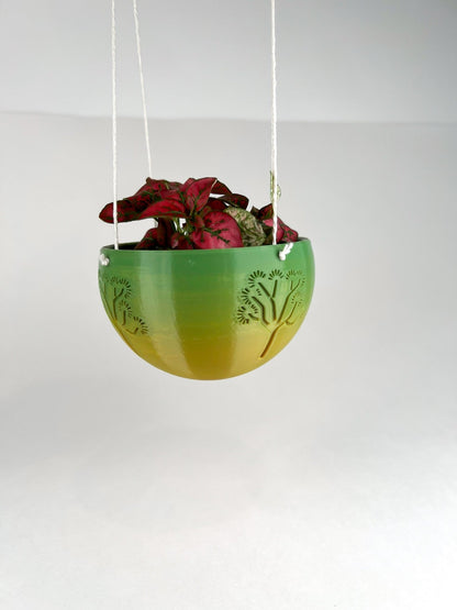 Hanging Joshua Tree Planter – Pots & Planters