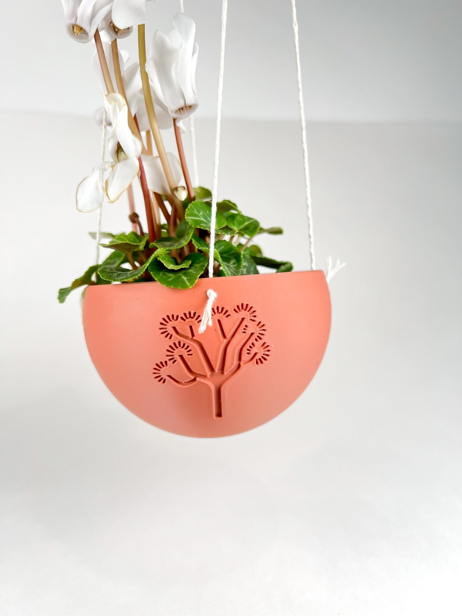Hanging Joshua Tree Planter – Pots & Planters