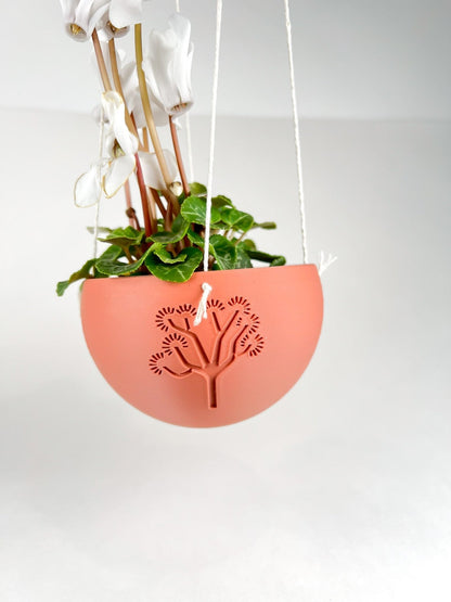 Hanging Joshua Tree Planter – Pots & Planters
